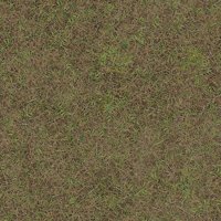 Asset preview